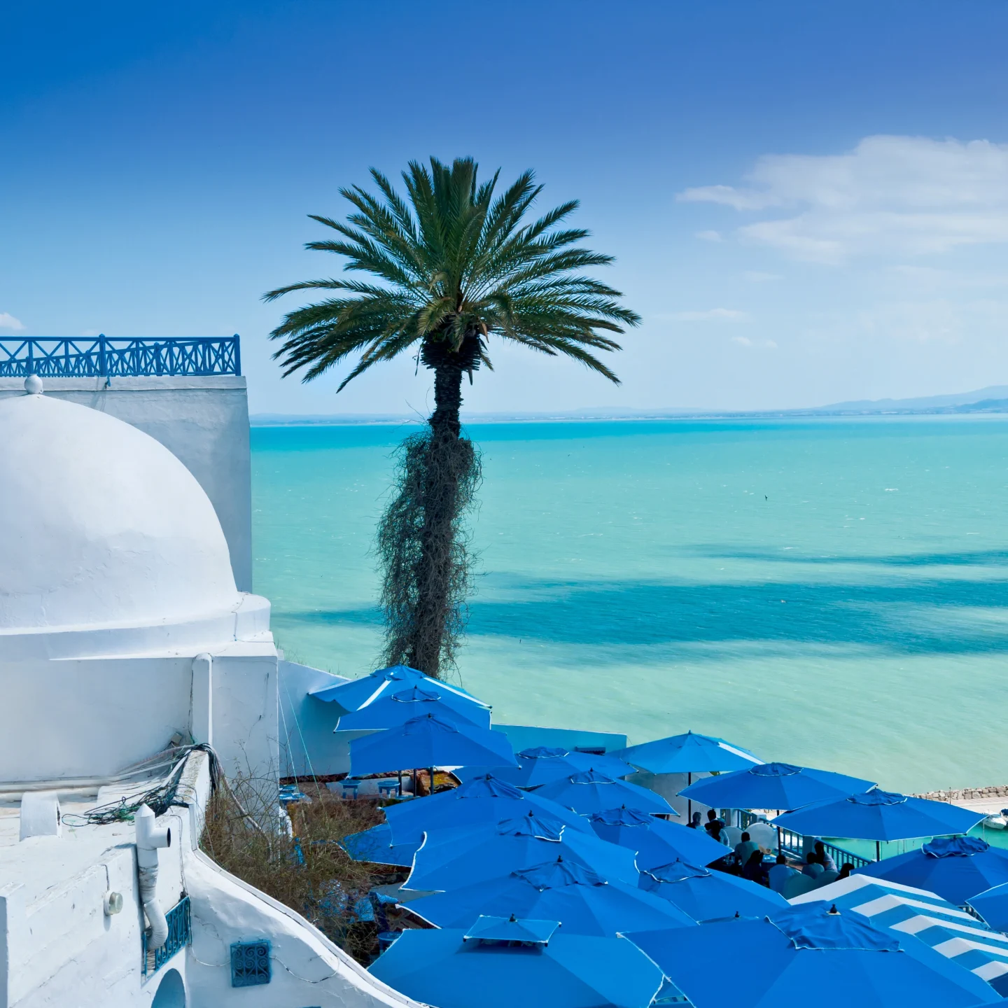 Car rental Tunisia